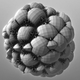 Illustration for article titled Growing Fractals Into Works of Art